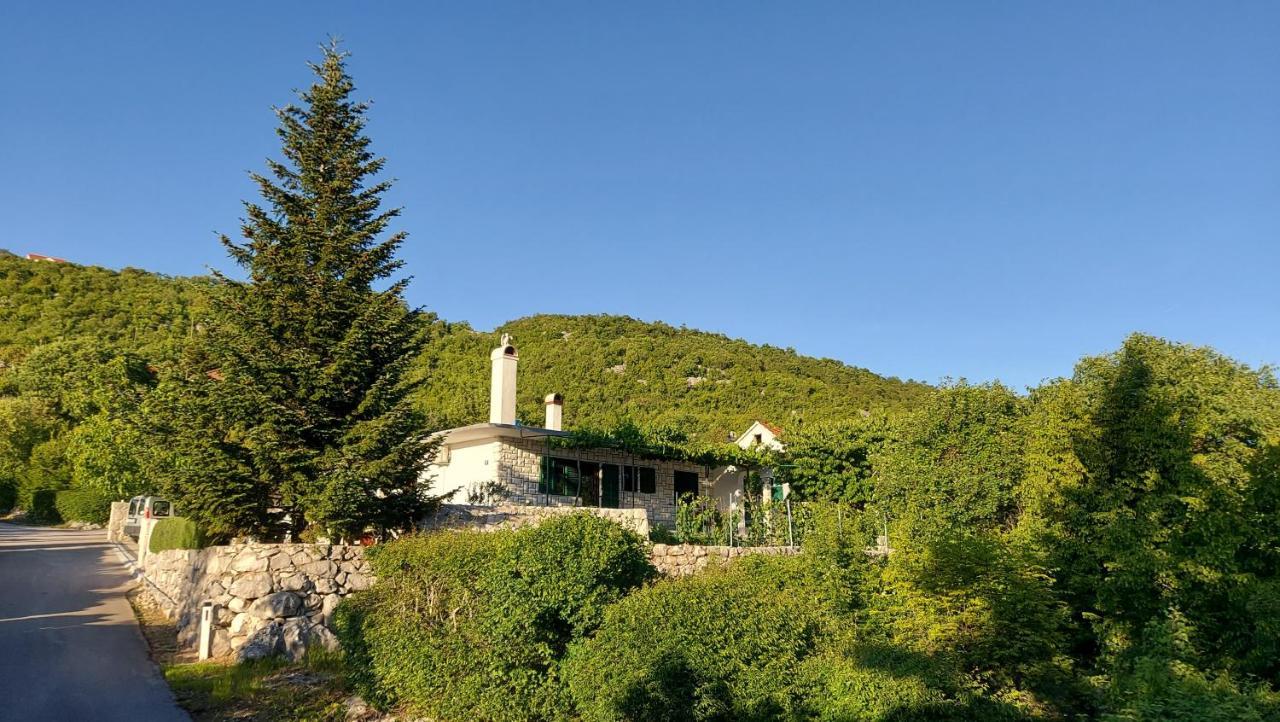 Country Home Mocilo, Zagvozd 外观 照片